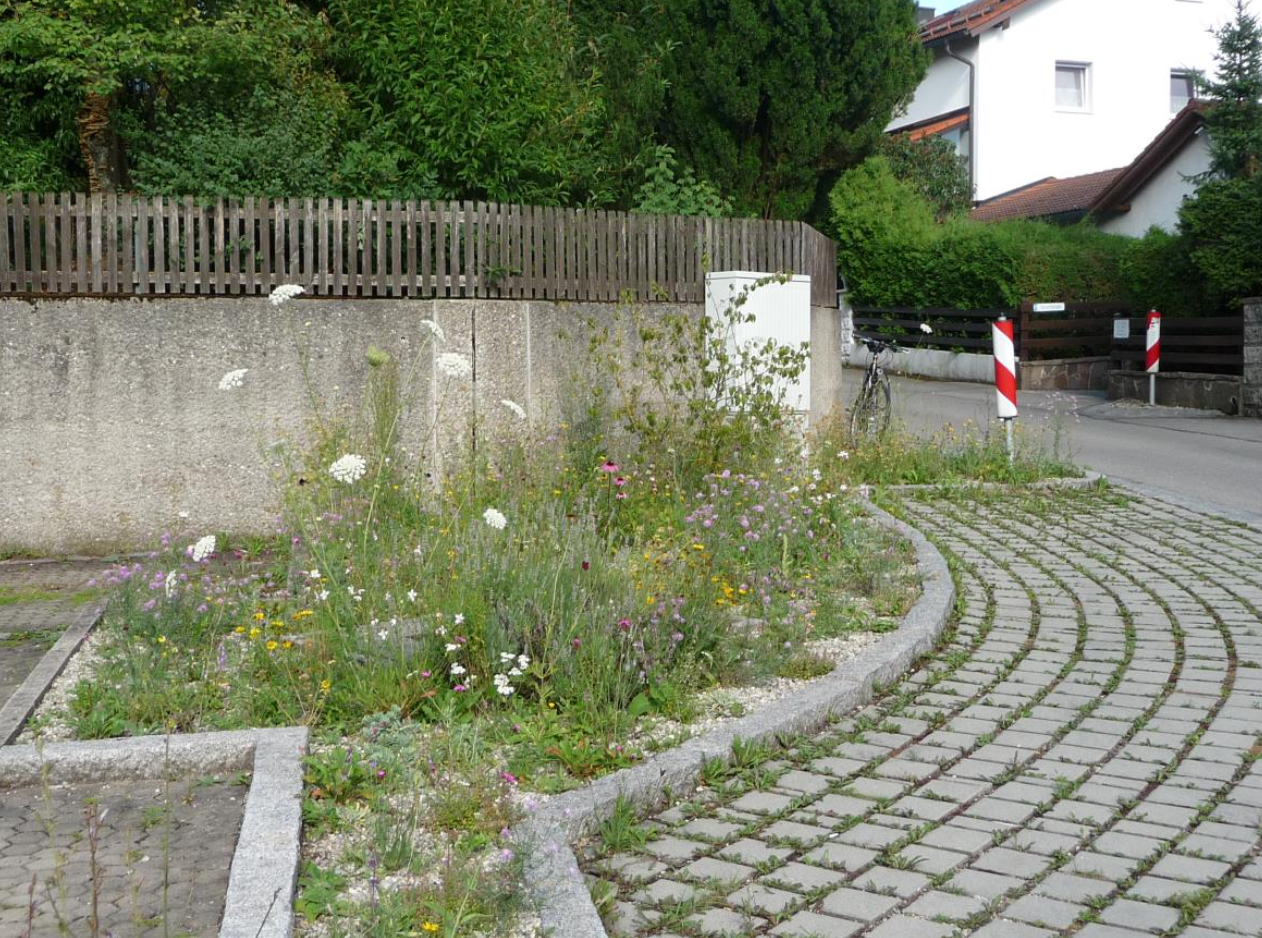 Fläche Am Fischergries nachher